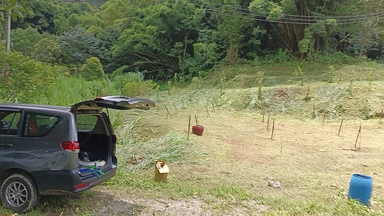 新竹北埔割草除草