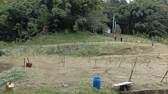 新竹北埔割草除草